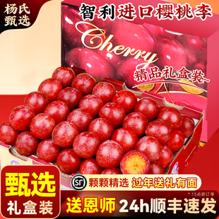 【赠恩师】智利进口樱桃李子新鲜水果5斤红心应当季顺丰礼盒包邮