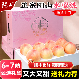 正宗无锡阳山水蜜桃子新鲜水果整箱毛当季 甄选礼盒 湖景 7两