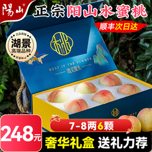整箱礼盒 直播专享7 8两6枚 正宗无锡阳山水蜜桃子新鲜水果当季