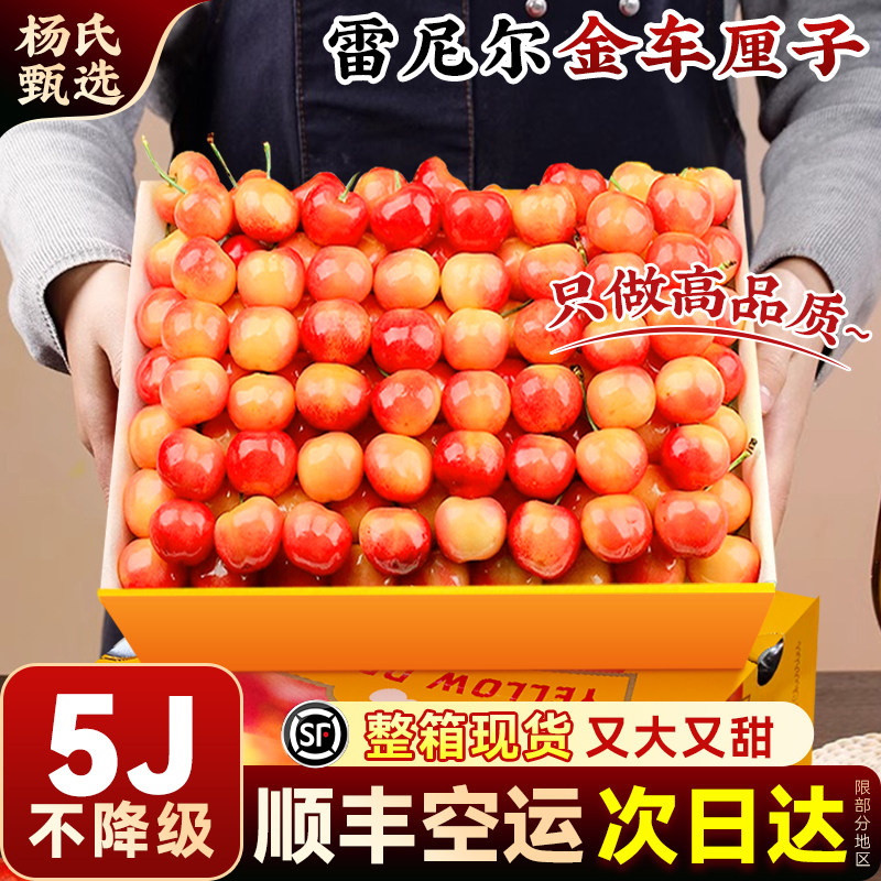 【整箱现货】顺丰礼盒雷尼尔黄金车厘子新鲜5斤4jjjj高档水果樱桃