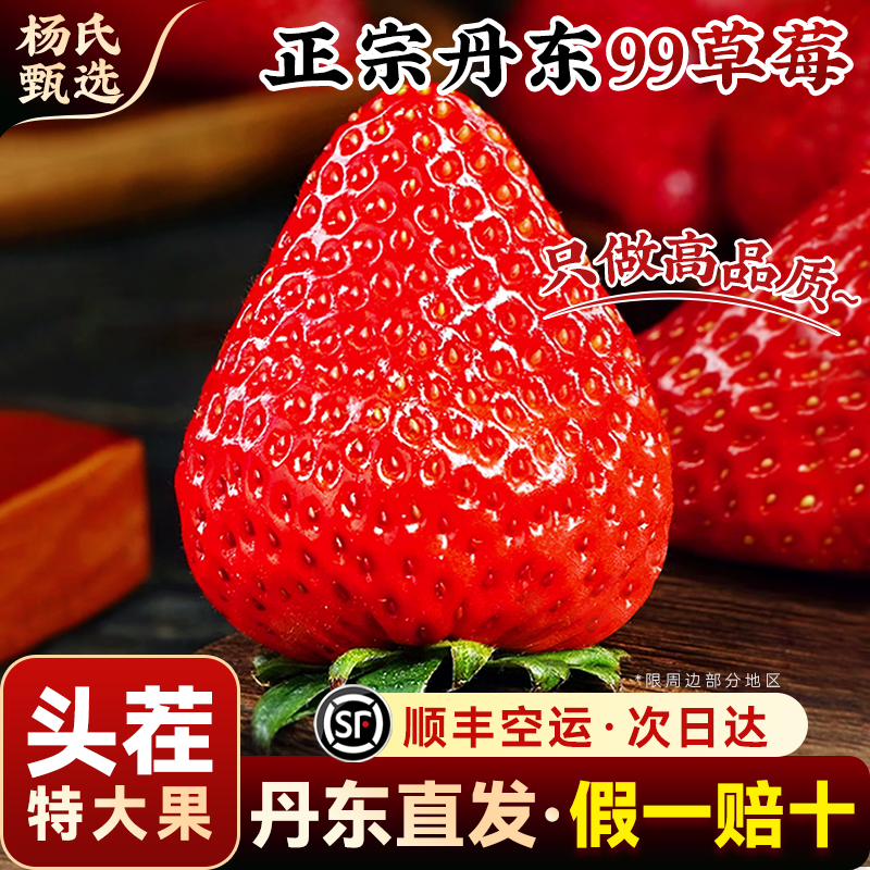 正宗丹东99草莓空运当天发！