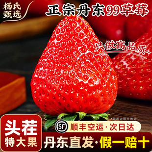 正宗丹东99草莓特大新鲜水果九九红颜奶油礼盒装东港牛奶久久顺丰