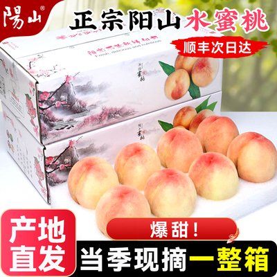 【无锡产地直发】正宗阳山水蜜桃子当季时令水果新鲜大桃湖景礼盒