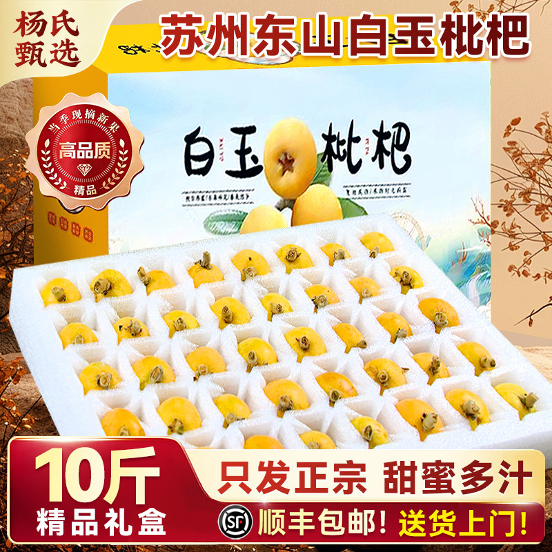 【10斤礼盒】正宗苏州东山白玉枇杷新鲜应季水果青种大琵琶沙顺丰