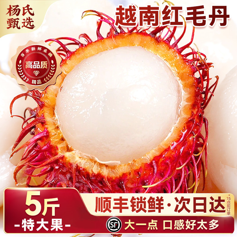 越南进口红毛丹|东南亚