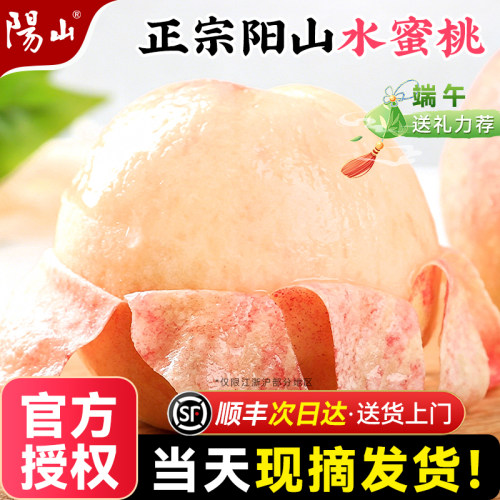 官方授权丨正宗阳山水蜜桃