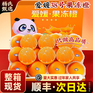 【整箱现货】四川爱媛38号果冻橙子当季水果新鲜特级柑橘顺丰礼盒