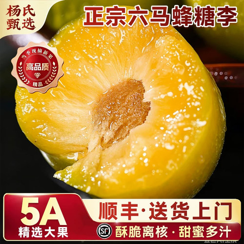 正宗贵州六马蜂糖李新鲜现摘