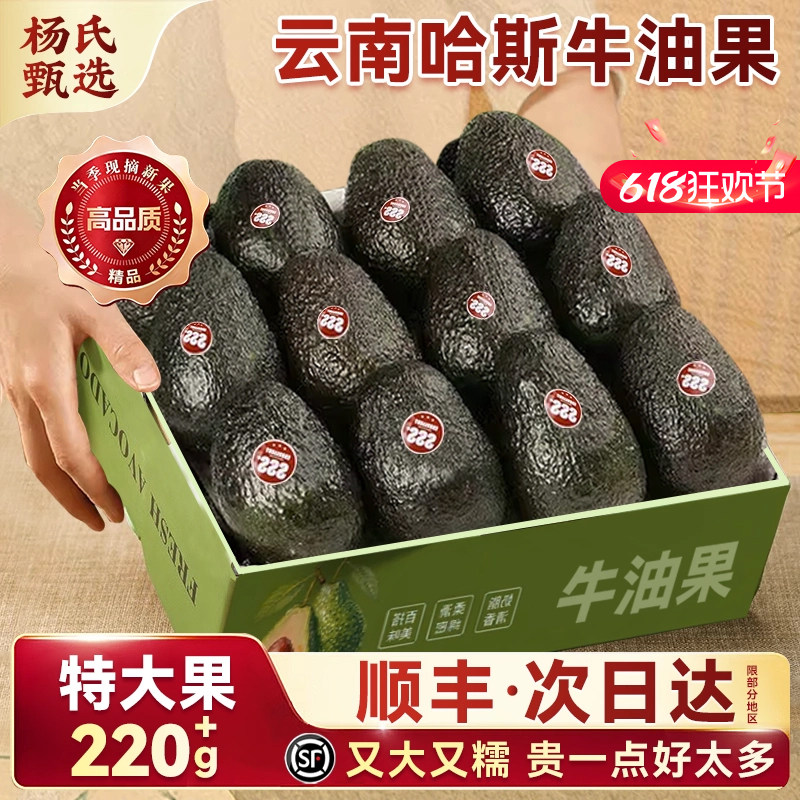云南哈斯牛油果即食一级鳄梨15个当季新鲜水果孟连国产酪梨旗舰店
