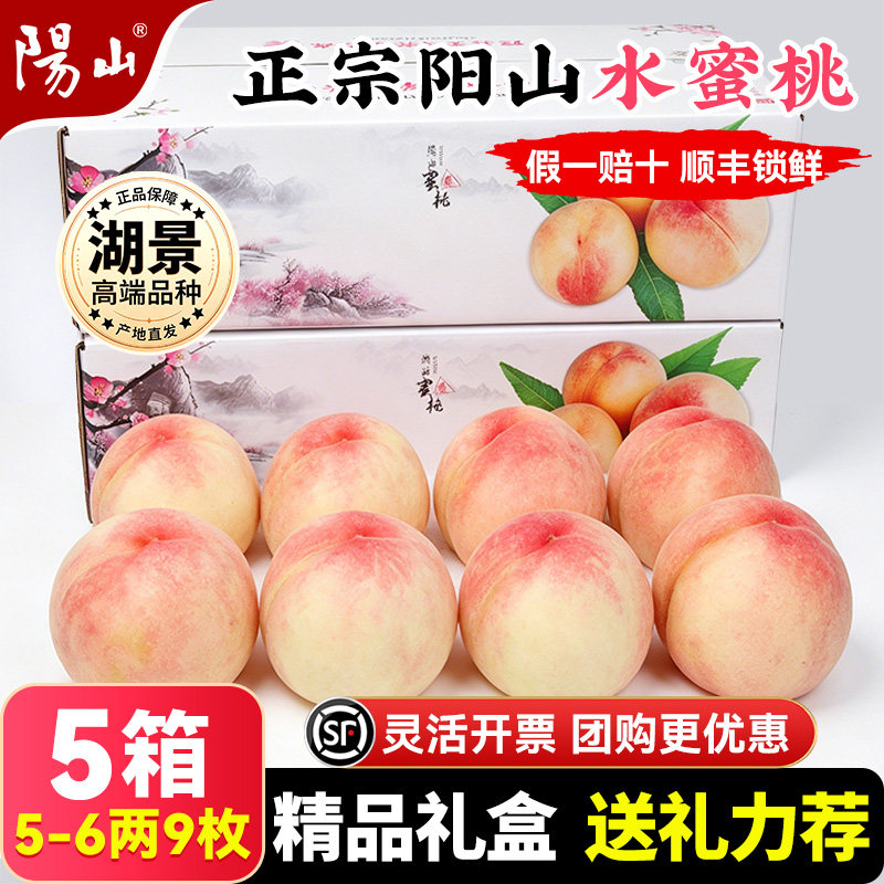【5箱精品礼盒5-6两9枚】