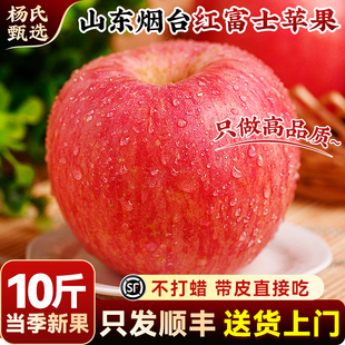 顺丰山东烟台红富士苹果10斤新鲜水果当季冰糖心栖霞平果正宗整箱