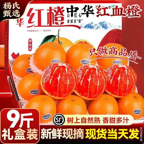 【70-75mm】正宗九月红秭归血橙子新鲜水果冻应季大产地直发冰糖