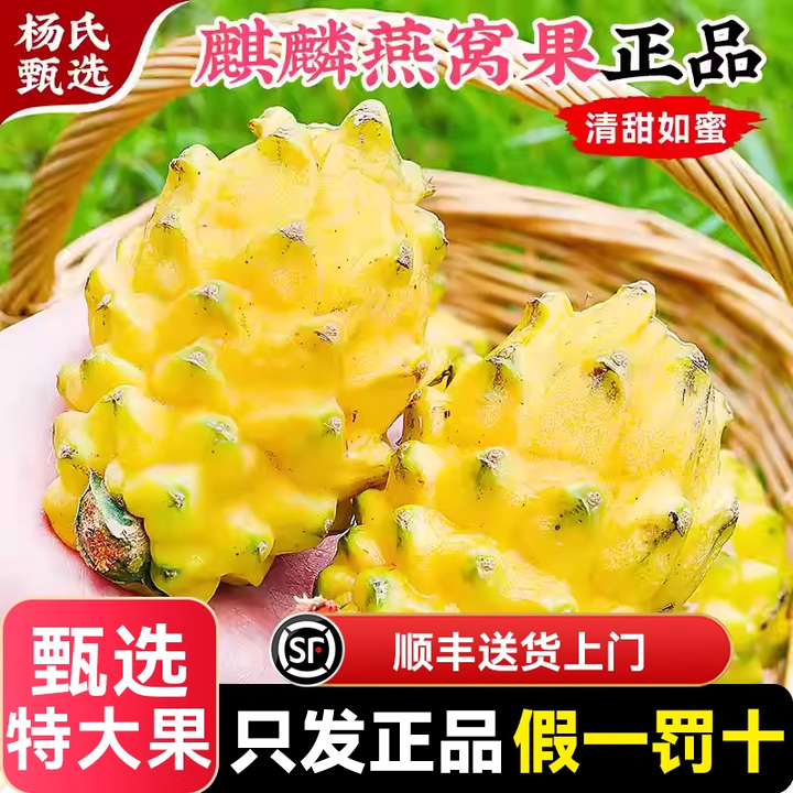 海南麒麟燕窝果礼盒装顺丰新鲜水果黄色火龙果整箱正品官方旗舰店