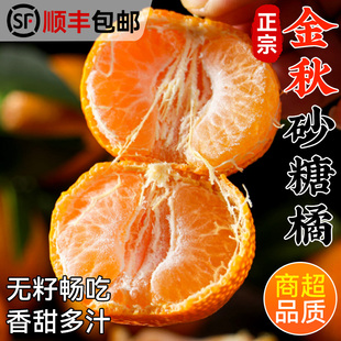 【无籽沙糖桔】正宗金秋砂糖橘新鲜水果当季时令蜜橘柑橘薄皮整箱