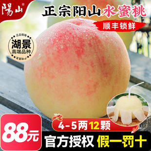 正宗無錫陽山水蜜桃新鮮水果當(dāng)季 直播專享4 5兩12枚 整箱禮盒