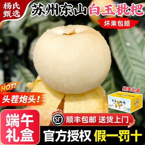 【顺丰端午礼盒】东山白玉枇杷