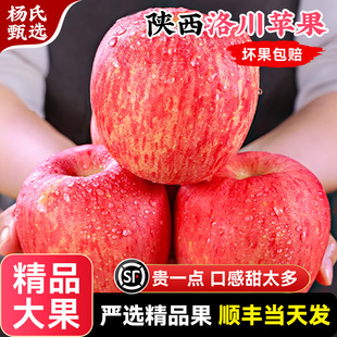 包邮 顺丰秒发正宗陕西洛川苹果水果新鲜应当季 整箱冰糖心红富士