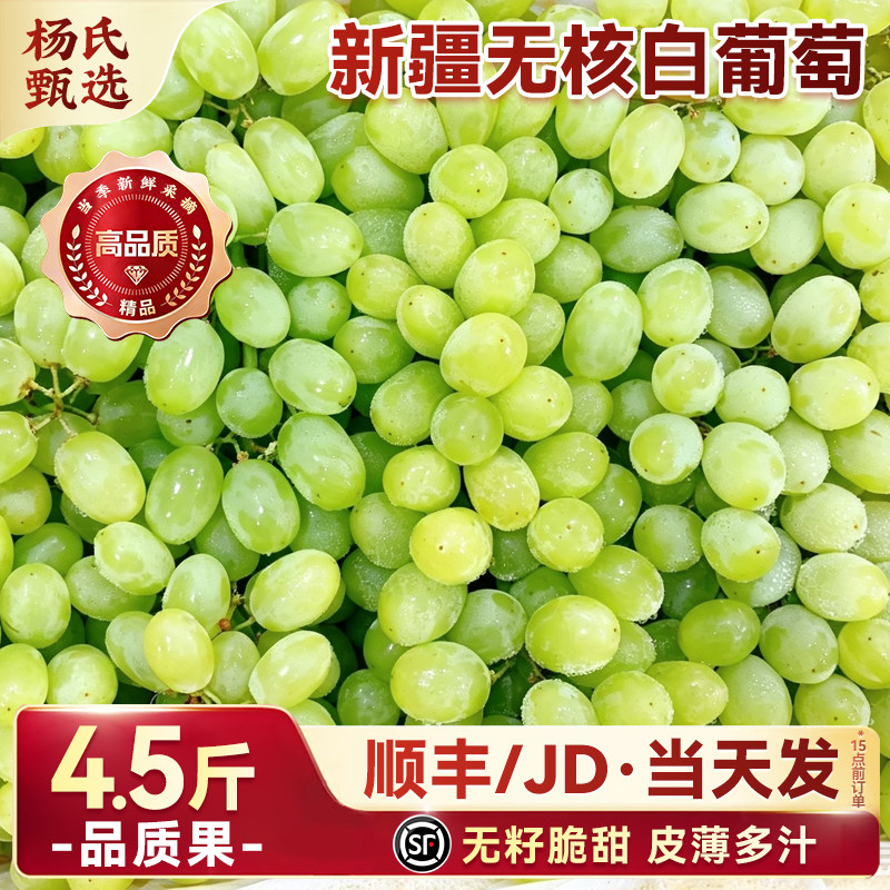 正宗新疆吐鲁番无核白葡萄应当季新鲜水果无籽青提提子甜整箱包邮