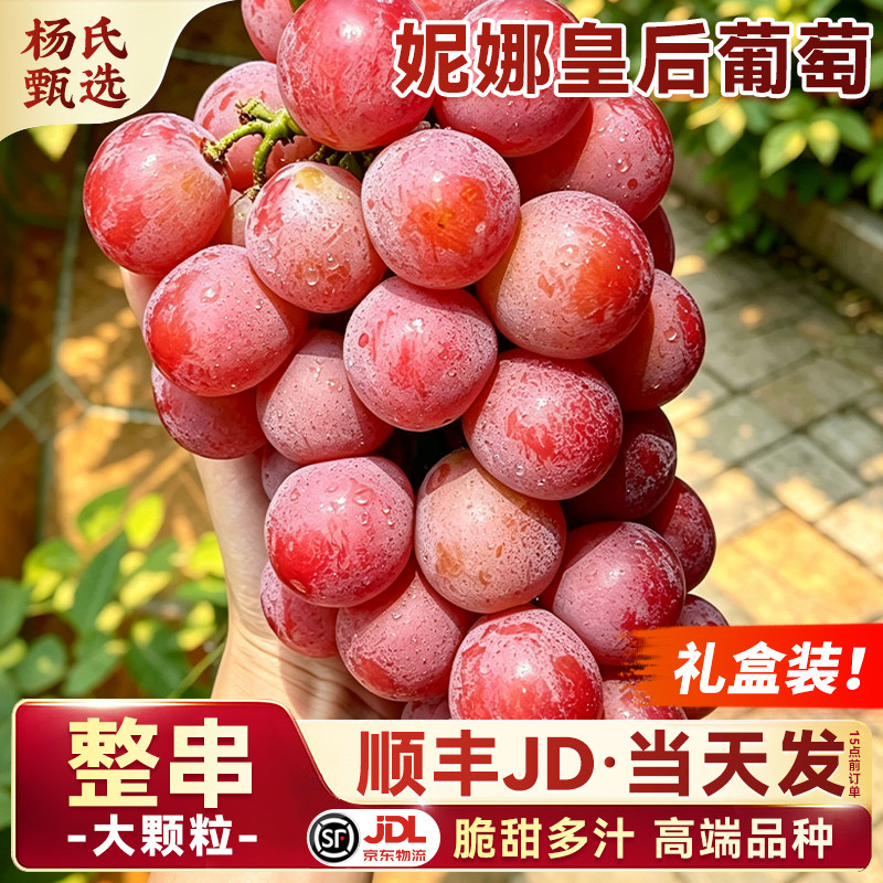 云南大理宾川妮娜皇后