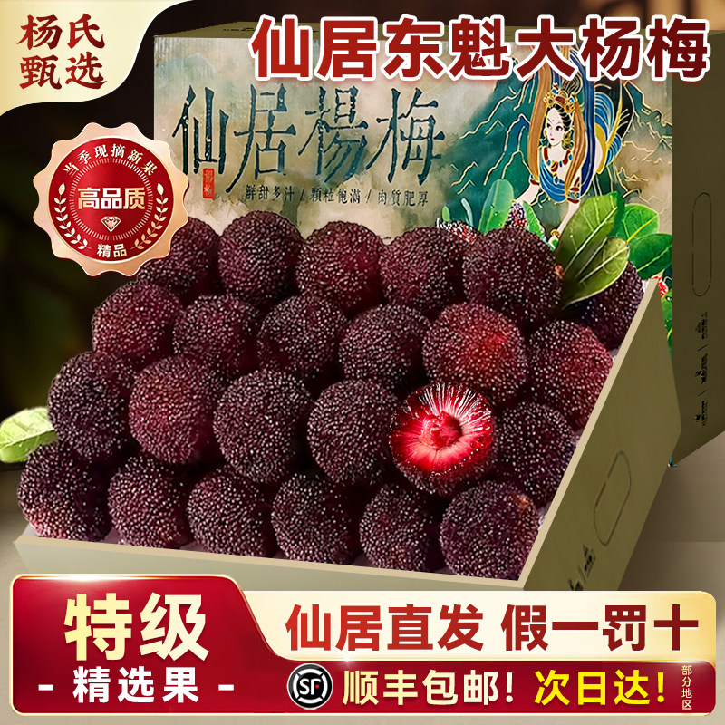 正宗仙居杨梅新鲜浙江东魁当季现摘现发水果精品礼盒装特大整箱