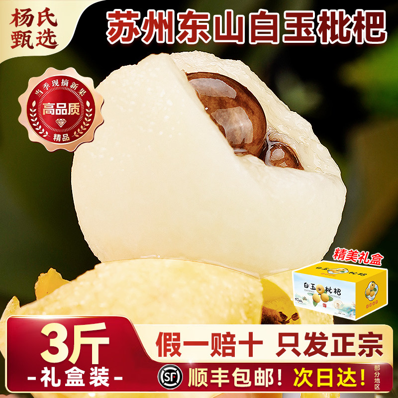 【3斤装】正宗苏州东山白玉枇杷新鲜应季水果青种大琵琶顺丰礼盒