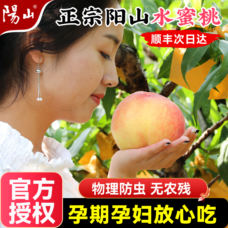 【孕期孕妇放心吃】正宗无锡阳山水蜜桃子应当季时令水果新鲜湖景