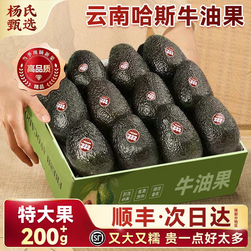 云南哈斯牛油果即食细腻口感