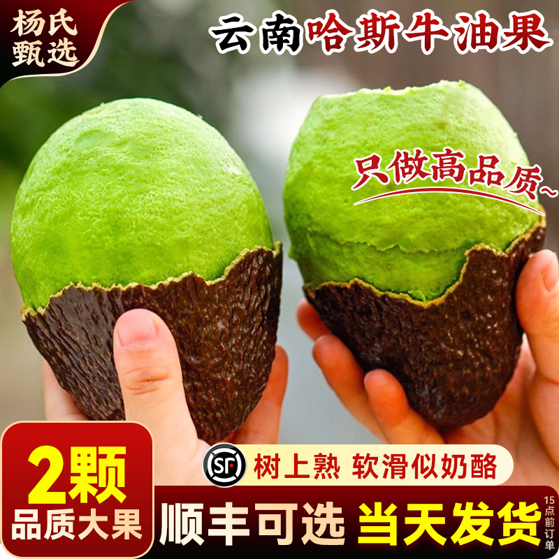 快叠陶金币 云南哈斯牛油果2个1.8 - 折送网