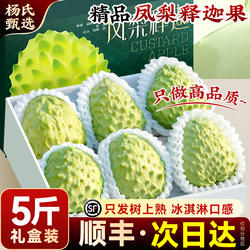 顺丰礼盒 5斤云南凤梨牛奶释迦果新鲜水果现摘大果刺果番荔枝牟尼