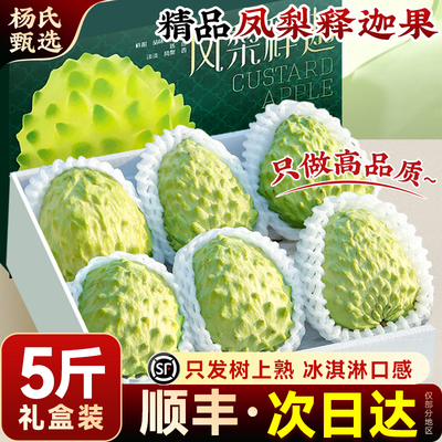 【凤梨牛奶释迦果】顺丰包邮