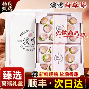 正宗淡雪奶油白草莓超大新鲜水果当季现摘白色礼盒整箱官方旗舰店