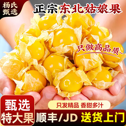 东北姑娘果5斤当季新鲜现摘