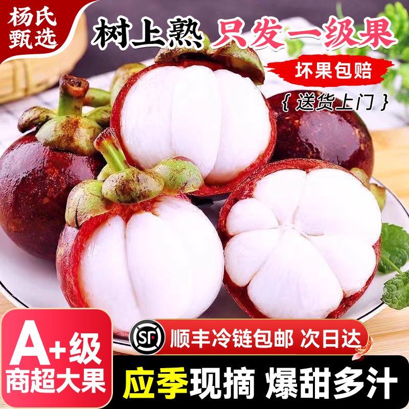 【应季现摘】泰国进口山竹5斤整箱一级新鲜大果6a水果三麻次日达