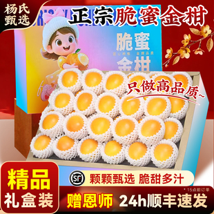 【赠恩师】顺丰正宗广西融安脆蜜金柑当季新鲜水果现摘整箱礼盒装