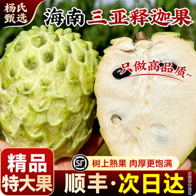 【海南释迦果】凤梨番荔枝新鲜水果现摘牛奶特大果佛头林檎牟尼摩