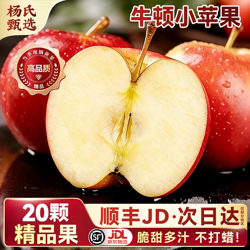 正宗南非牛顿苹果顺丰包邮