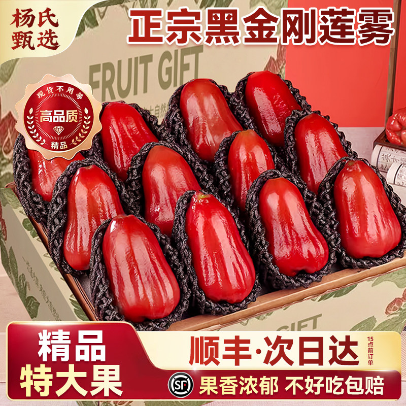 顺丰空运 海南黑金刚莲雾5斤水果礼盒莲雾果新鲜大果连雾整箱包邮