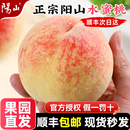 时令水果新鲜大桃湖景礼盒 顺丰 包邮 正宗无锡阳山水蜜桃子当季