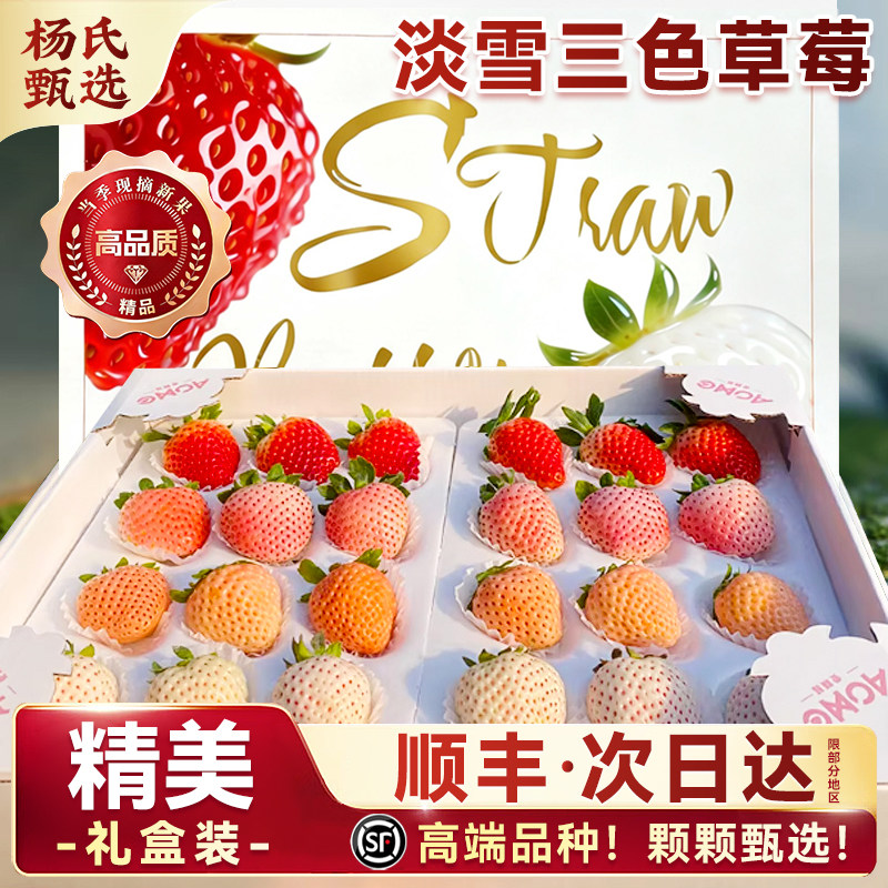 正宗淡雪白草莓新鲜水果礼盒装粉玉三色超大奶油牛奶经营店顺丰