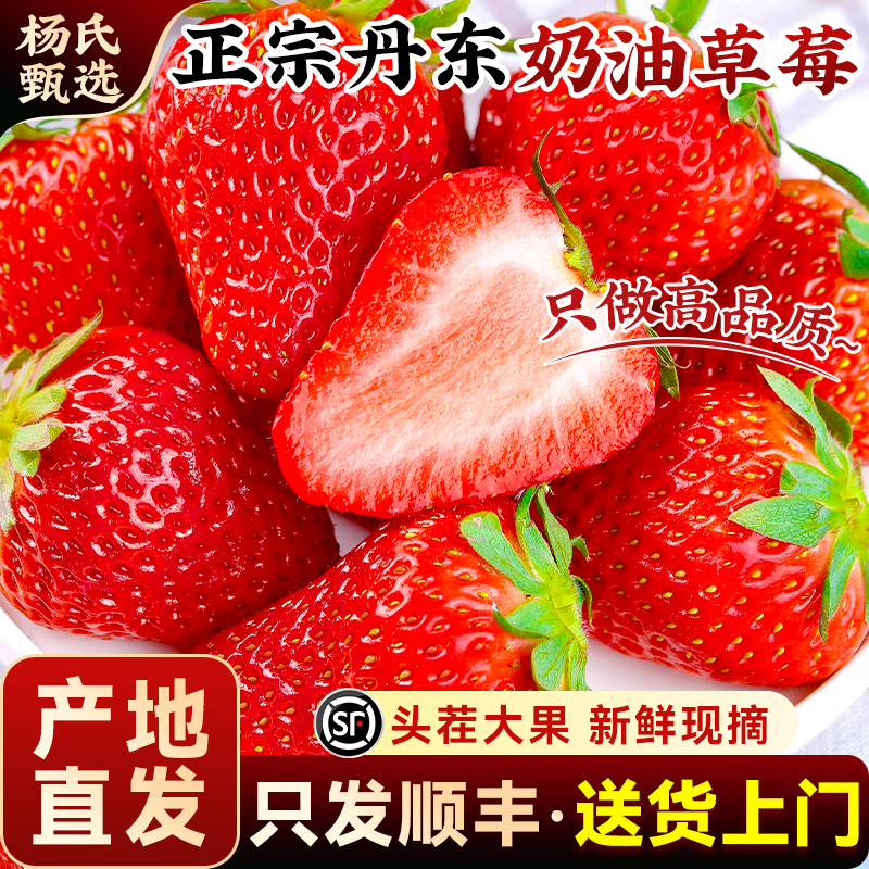 【丹东奶油草莓】新鲜水果九九99红颜礼盒辽宁东港超大久久旗舰店