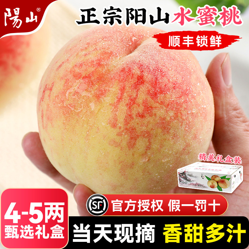 【4-5两礼盒装】正宗无锡阳山水蜜桃子新鲜水果应当季湖景白凤毛