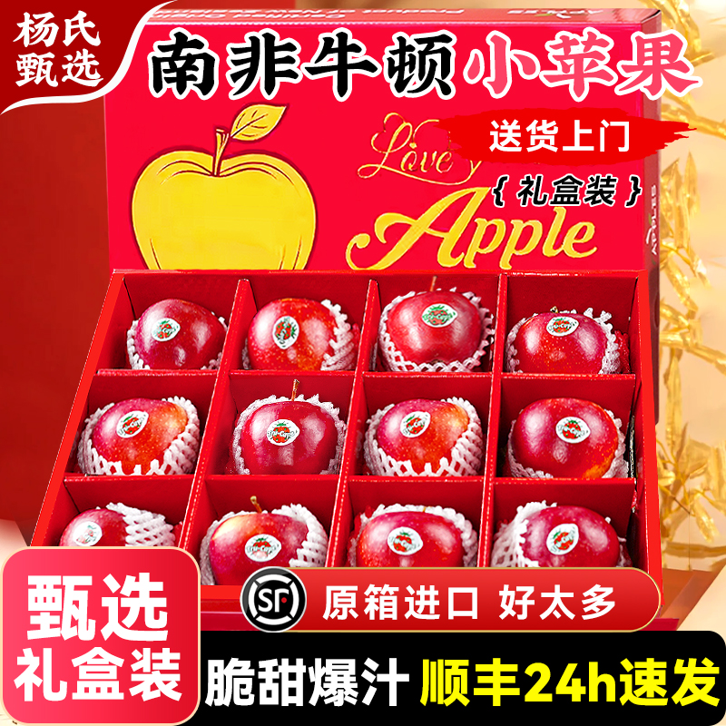 正宗南非牛顿苹果顺丰包邮