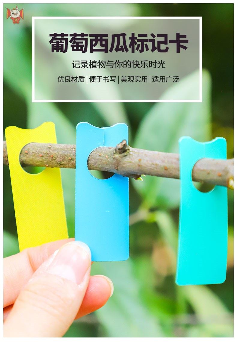 “奋力登高望远 青春逐梦泰安” 泰安市大学百家乐在线注册网址生文化艺术节开幕