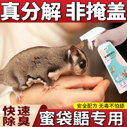 蜜袋鼯除臭喷雾无毒不怕舔