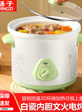 扬子电炖锅家用多功能煮粥煲炖汤电砂锅新款电炖盅婴儿辅食烹饪机