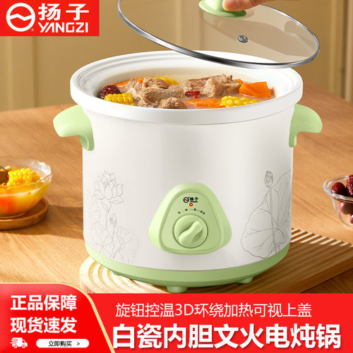 扬子电炖锅家用多功能电炖盅
