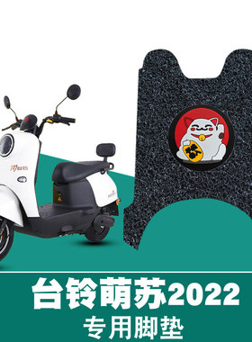 适用于台铃萌苏2023电动车脚垫TL1000DT-5C/TL1000DT-32D丝圈脚垫