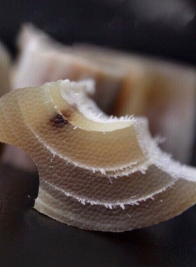 天然披毛犀碎料鱼籽纹摆件文玩