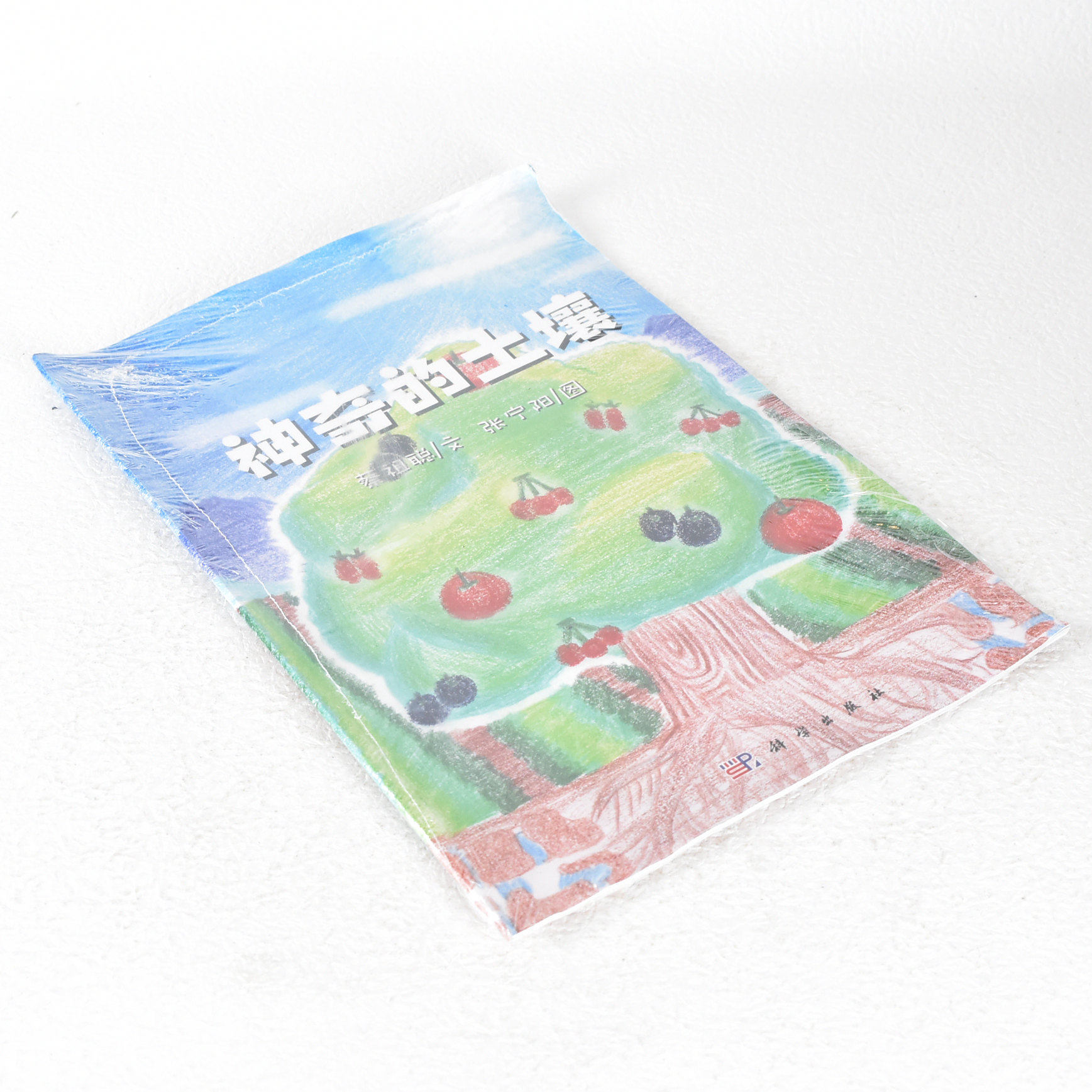 正版 神奇的土壤 作者: 蔡祖聪  出版社: 科学出版社 9787030605023