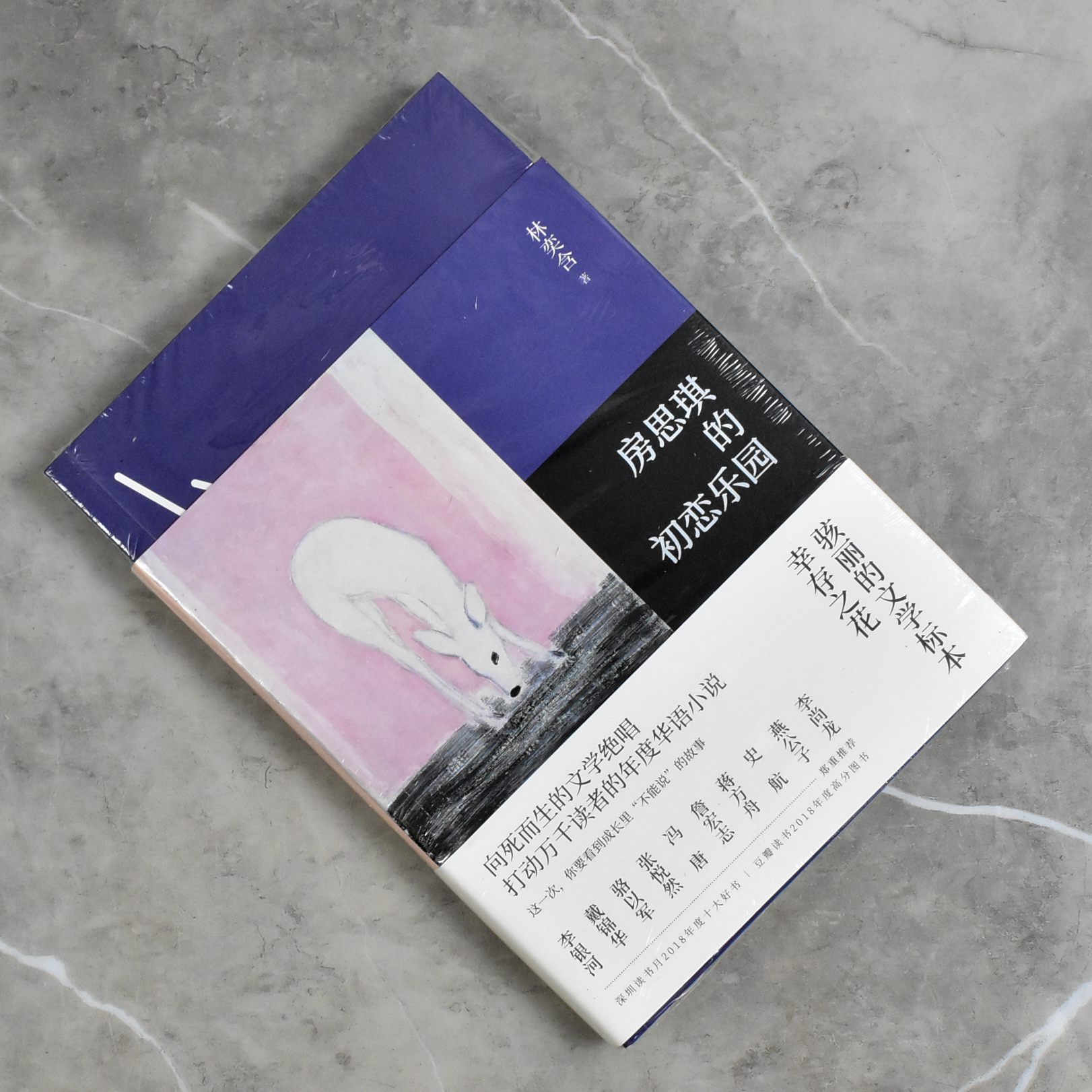 房思琪的初恋乐园  正版全新作现代/当代文学